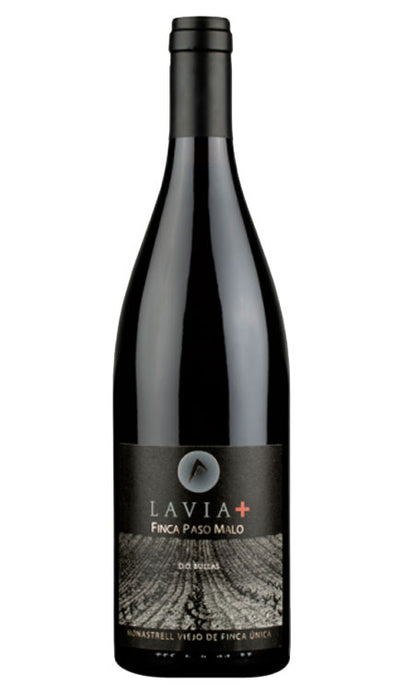 Vino Tinto Lavia Finca Paso Malo