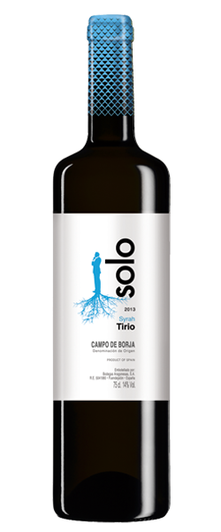 Vino Tinto Coto de Hayas Roble