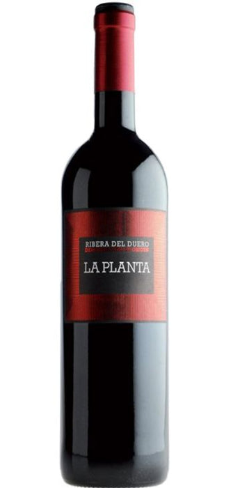 Vino Tinto La Planta de Arzuaga