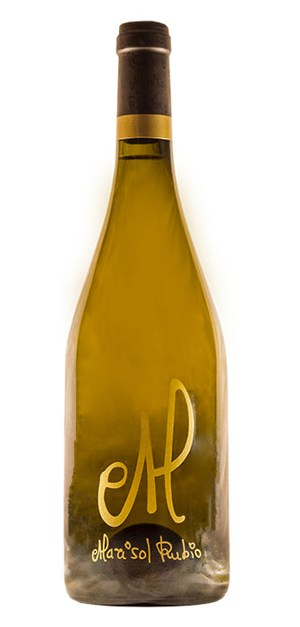 Vino CIPMA I Marisol Rubio